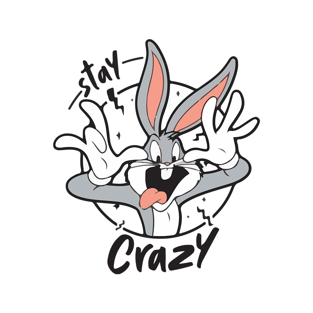 Stay Crazy Sticker